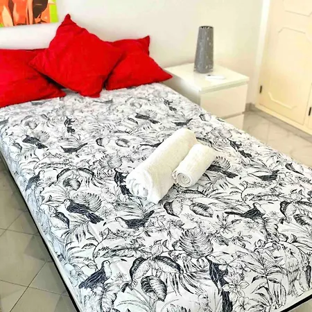 5 Estrelas Da Oura *